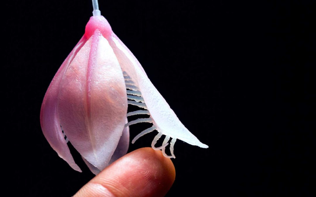 Organismi sintetici in 3D